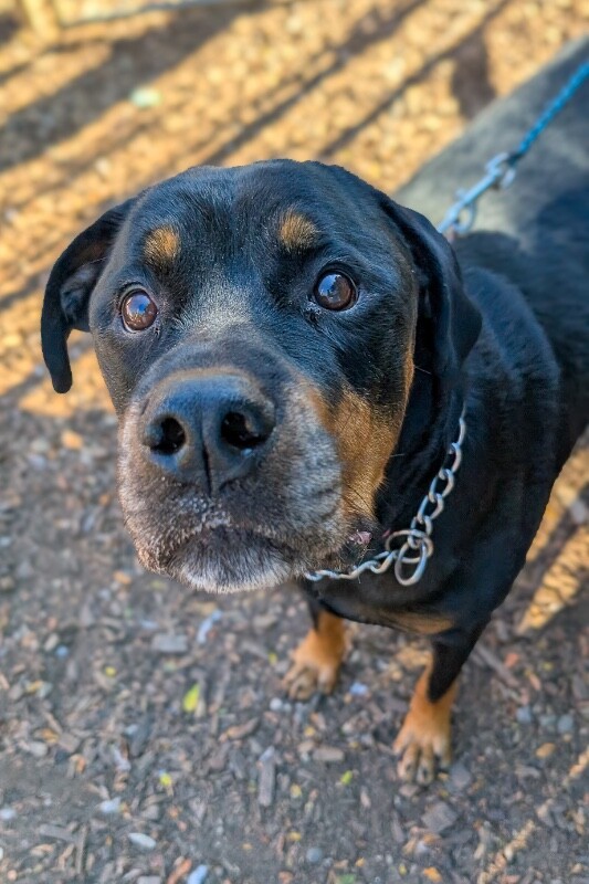 PXL 20251014 201834490 3