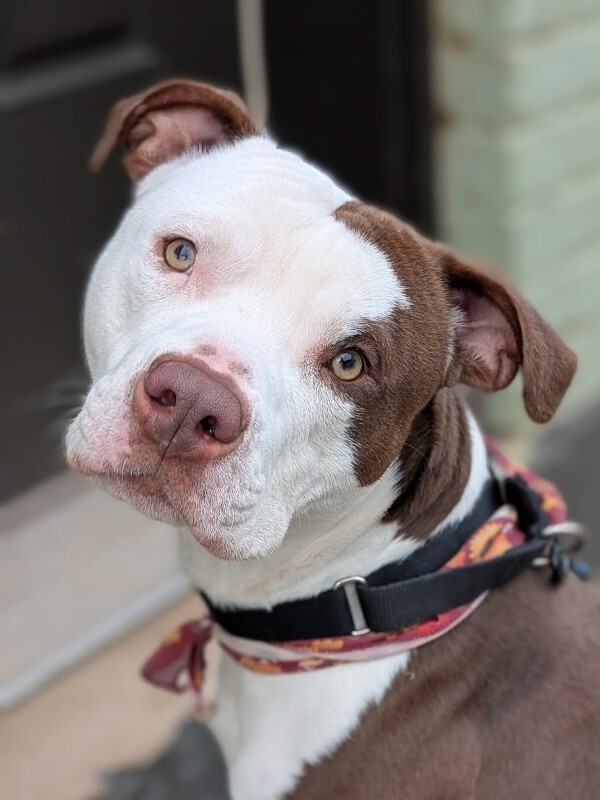 PXL 20251207 155445636.PORTRAIT 2