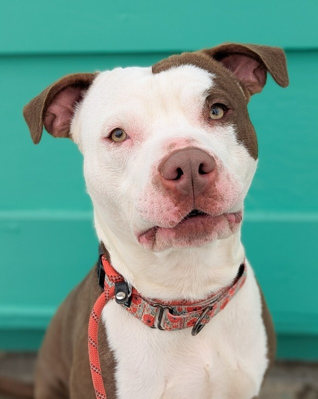 PXL 20260214 171615314.PORTRAIT 2