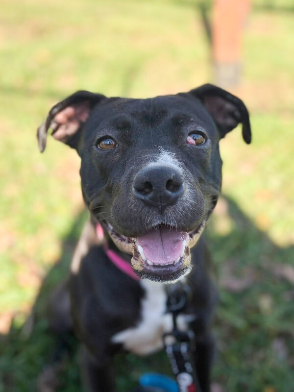 586423346 10163514419310935 268350840937332925 n 2