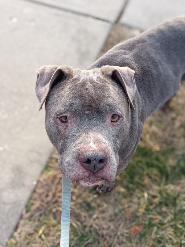 IMG 20260102 161804 2