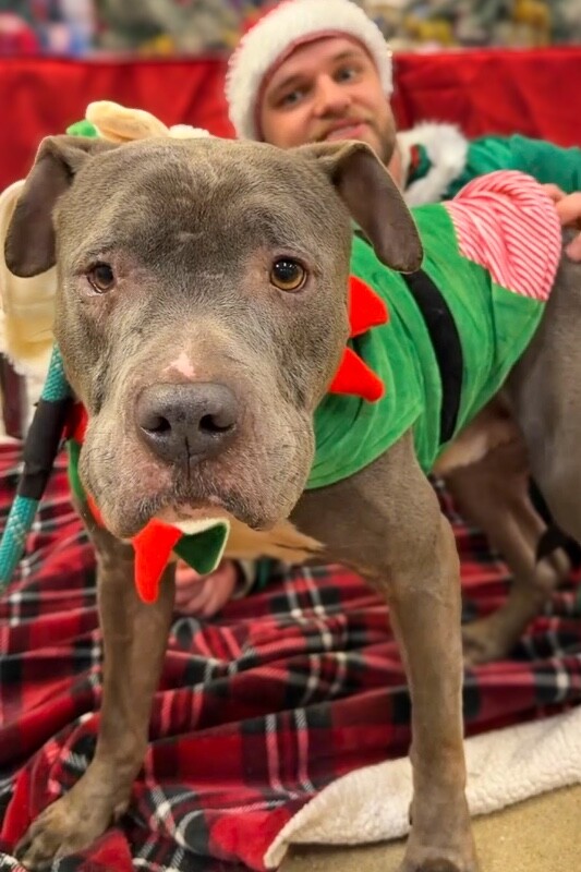 View Gerome the Dog Photo #5