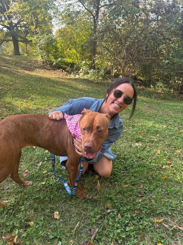 View Goldleaf the Dog Photo #2