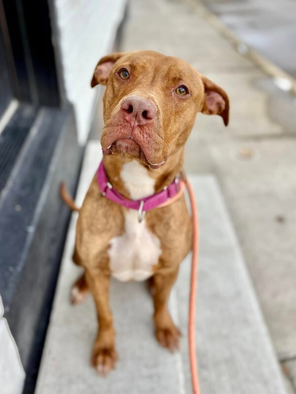 Learn More About Goldleaf 597670905 10129716142469205 6485305952928549590 n