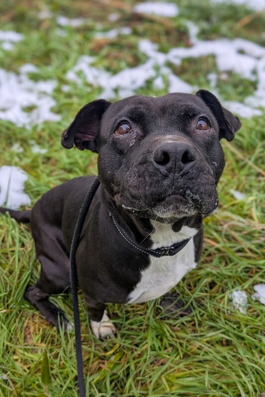 Learn More About Rowena PXL 20251207 141203191 2