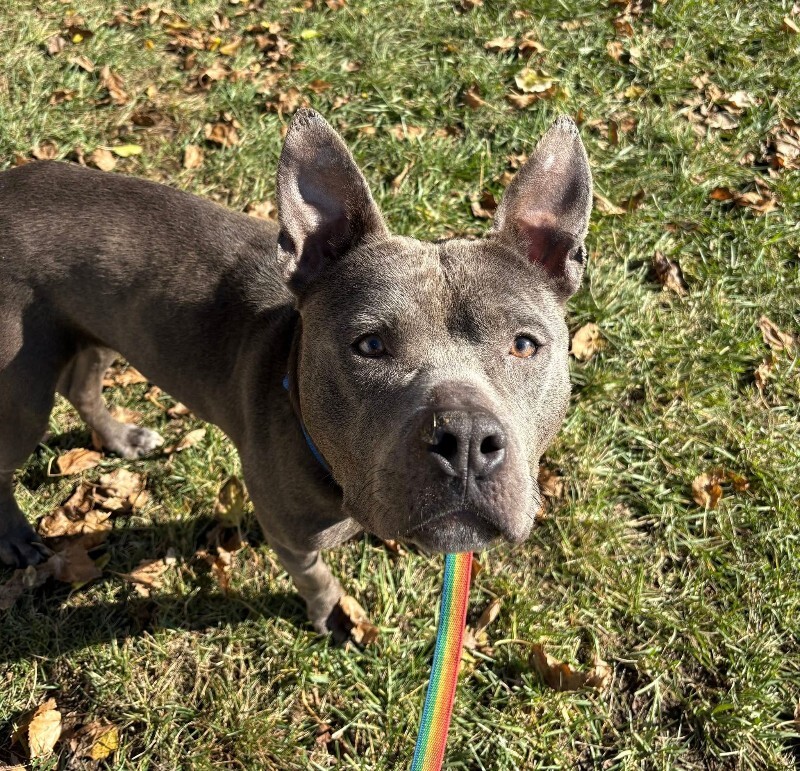 587852578 10237742332154273 2464780811746399388 n (1)