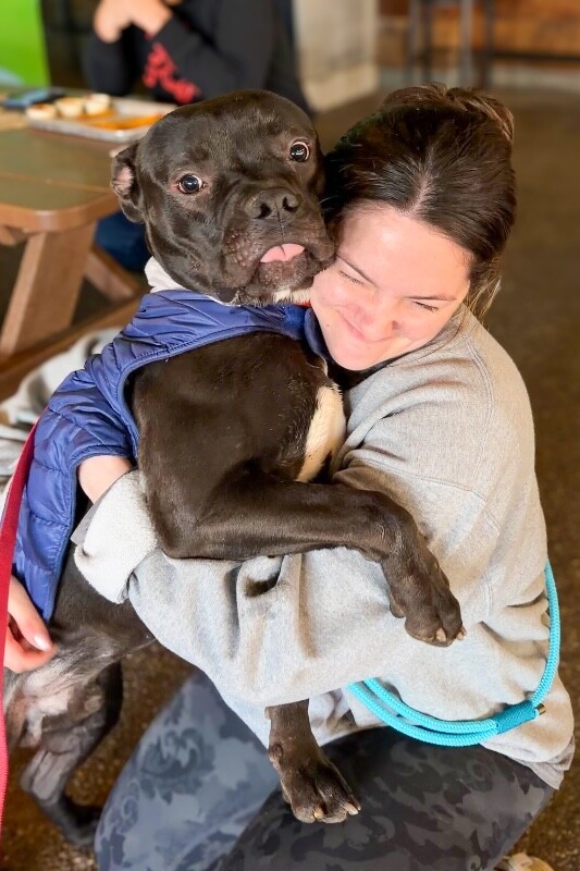 View Sunny the Dog Photo #7