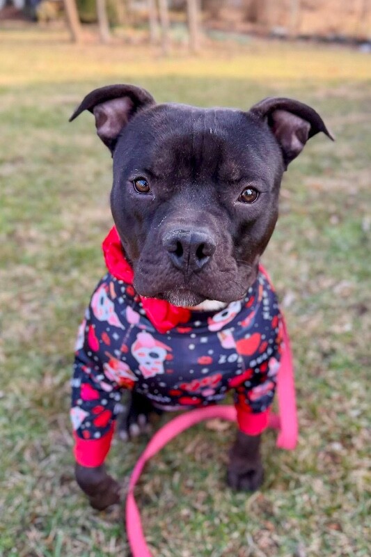 615789482 797208373372545 5085762295618313578 n