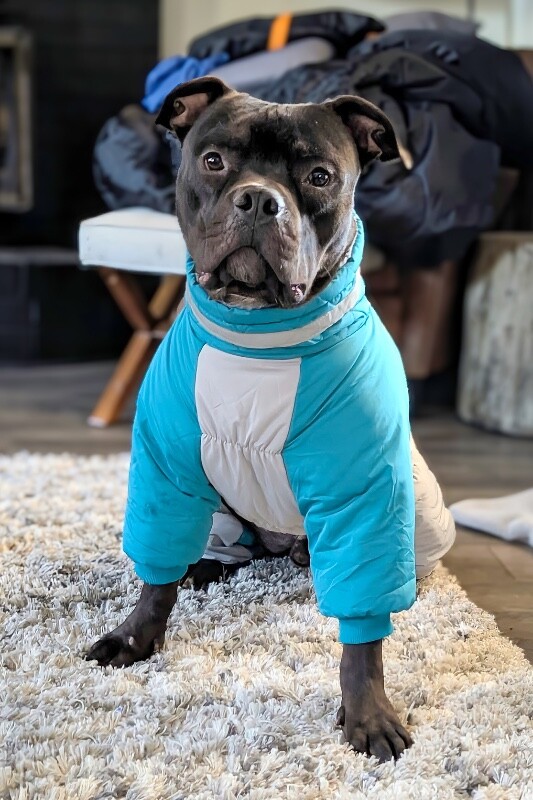 PXL 20260115 180033040.PORTRAIT~3