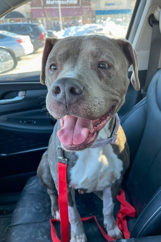 625427450 1487637799646067 3596022857914113965 n