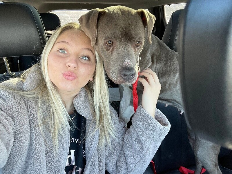 View Genie the Dog Photo #5