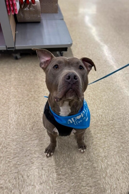 Learn More About Heron 616575284 25928502276835808 6032317832630232938 n