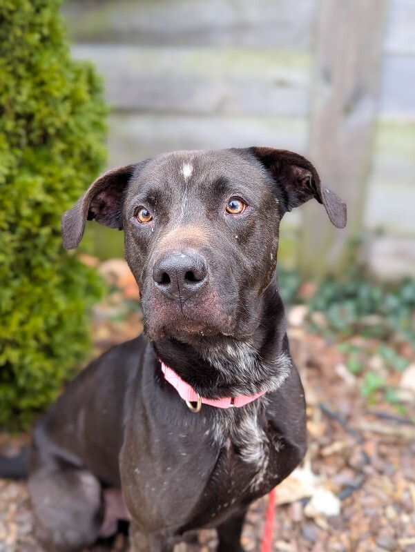 PXL 20251227 154739450.PORTRAIT 2