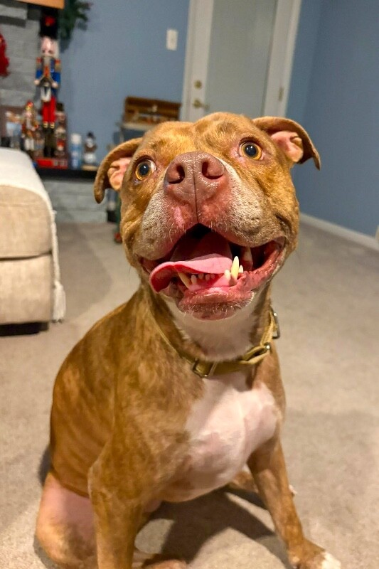 605807630 25585173214426555 7334851186074504886 n