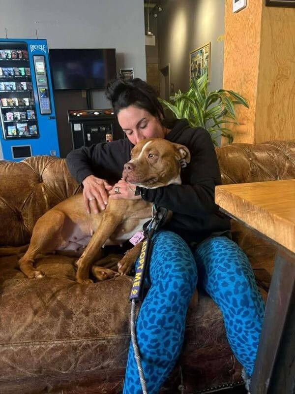 View Manzana the Dog Photo #2