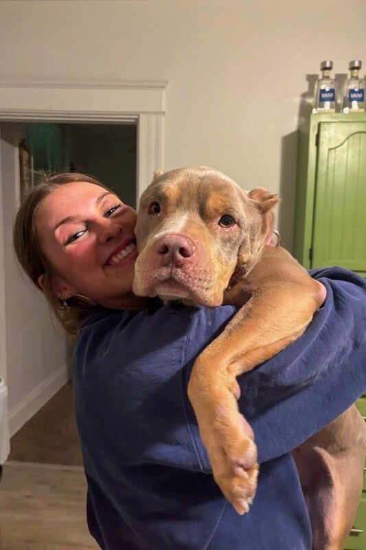 View Fuel the Dog Photo #5