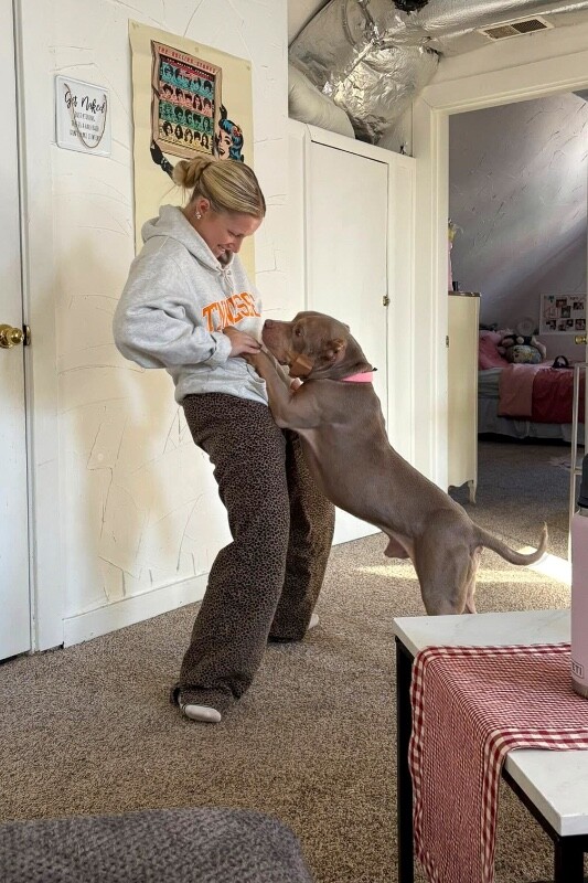 View Fuel the Dog Photo #4