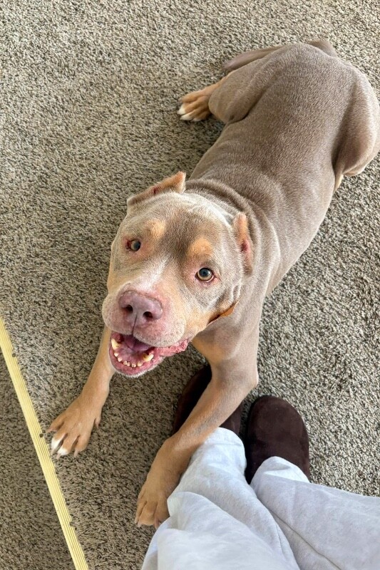 627238315 1632902014738828 4057892265337230181 n