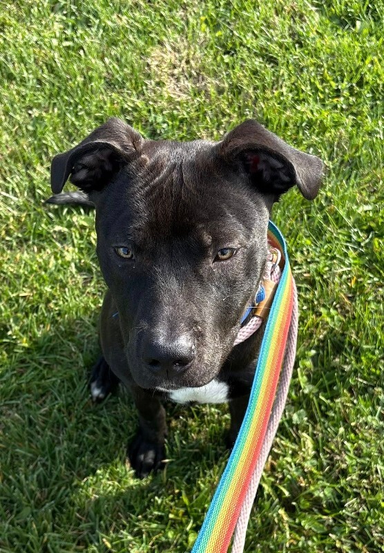 583237321 10237606596480966 5011347539099352642 n