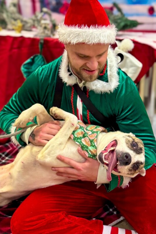 View Ray Of Sunshine the Dog Photo #12