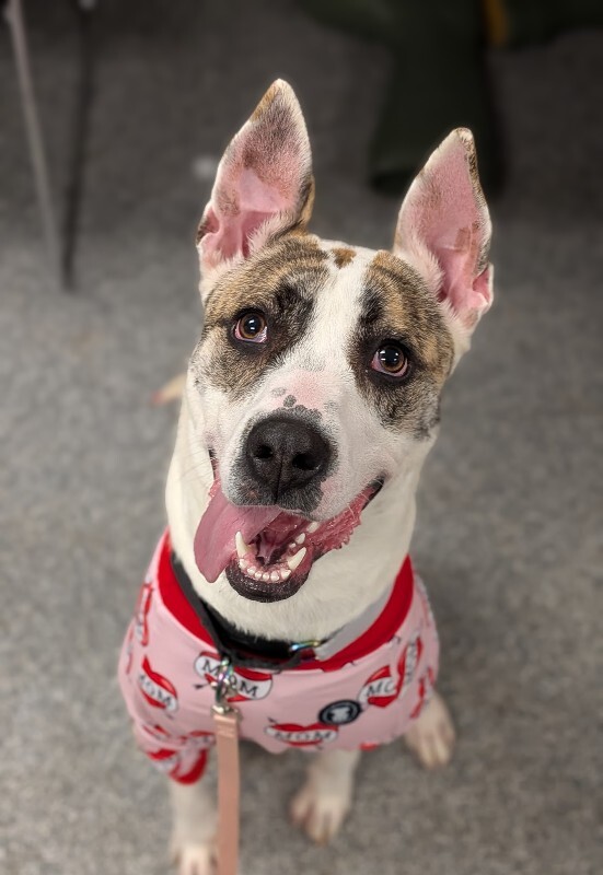 Learn More About Ray of Sunshine PXL 20260206 161751608.PORTRAIT 2