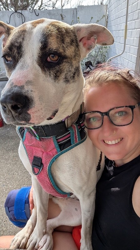 View Ray Of Sunshine the Dog Photo #15