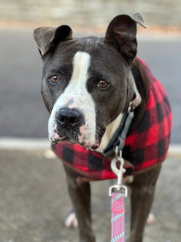 581507164 24935576329403694 8609401805485529283 n