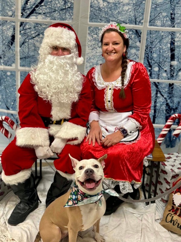 View Cloven the Dog Photo #8