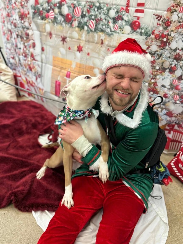 View Cloven the Dog Photo #7