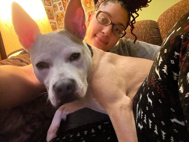 View Cloven the Dog Photo #14