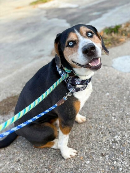 f8f53271 e6a3 4a64 90b3 a5ce62a85739