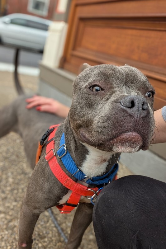 PXL 20251228 175838168 2