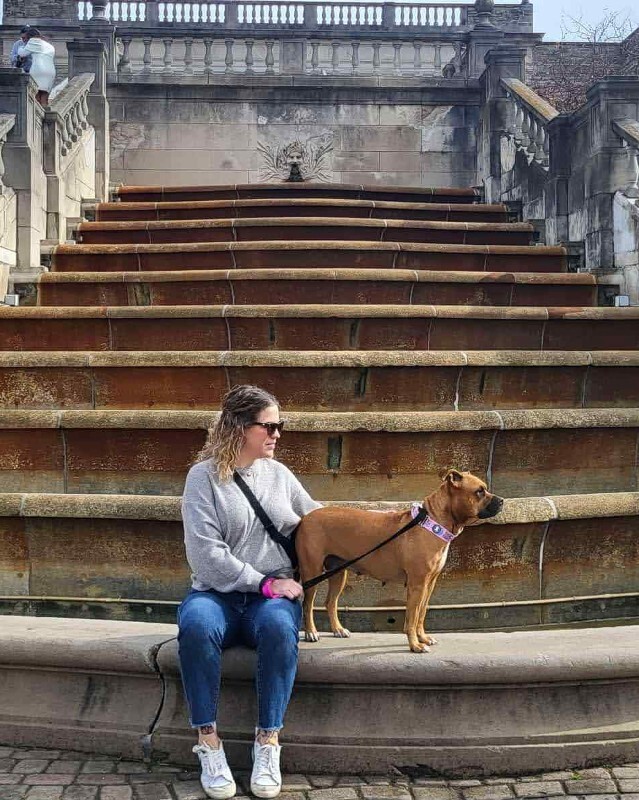 View Marcia Brady the Dog Photo #9