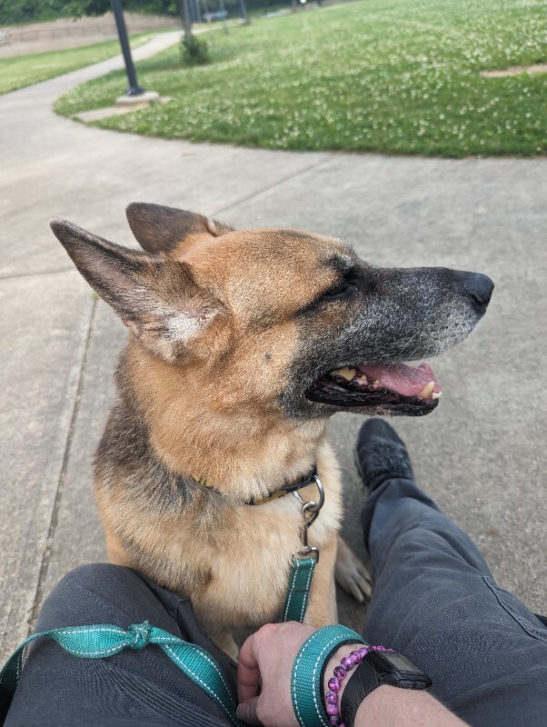 View Duckie the Dog Photo #14