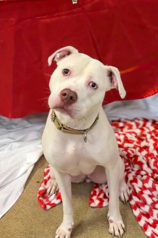 Learn More About Murata IMG 2364