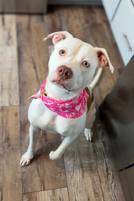 Learn More About Murata IMG 6722