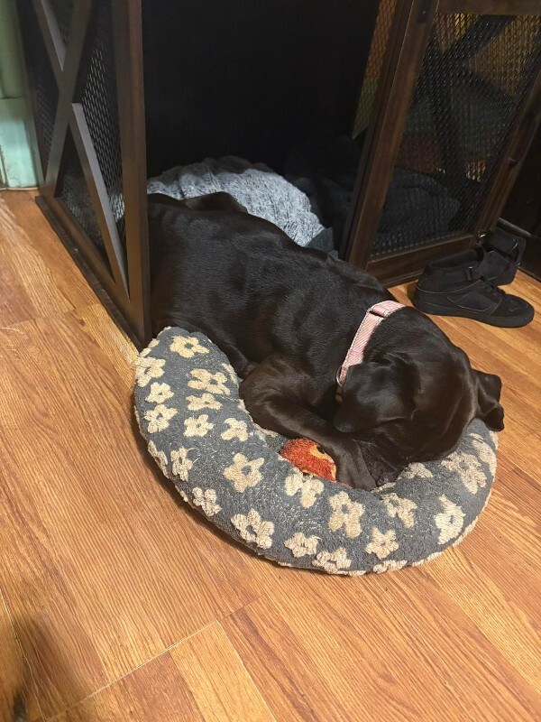 Learn More About Lydia 596926910 4222734287960123 7667492726053702948 n