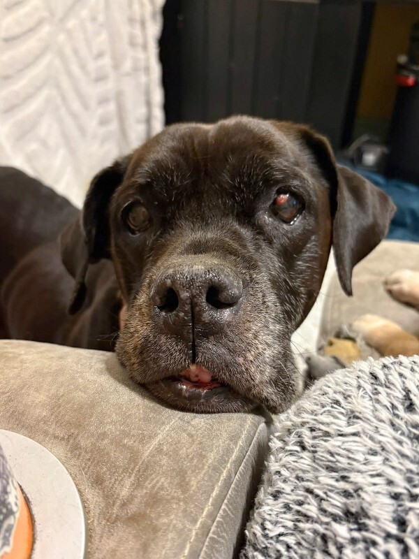 611924207 4244466119120273 2692365970122331057 n 2