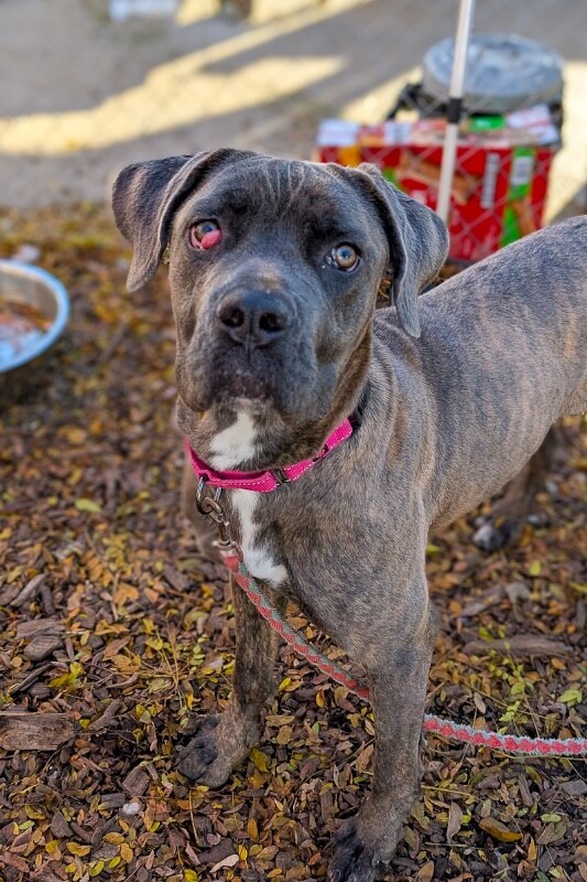 PXL 20251112 195519713.MP