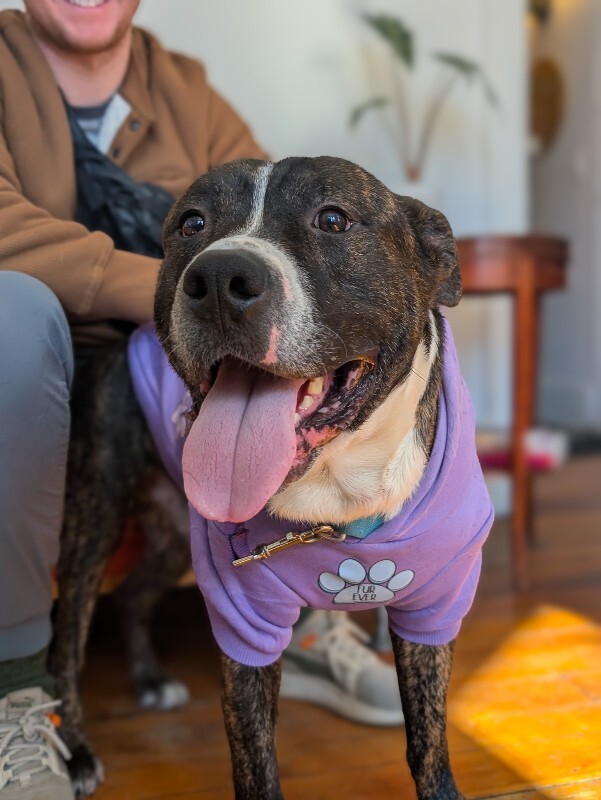 Learn More About Ginseng PXL 20260207 175454220.PORTRAIT 2