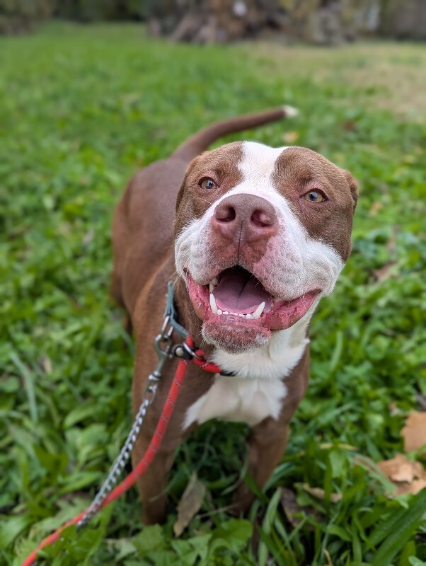 PXL 20251115 152158637.PORTRAIT