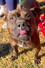 Learn More About Glenda 2c57fbd3 6ca3 4334 bc26 9b9909b9e532 tn1