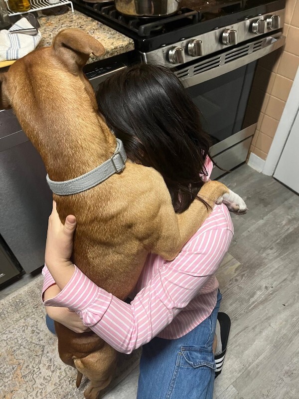 View Tyler the Dog Photo #6