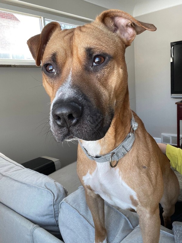 638463982 26298340246457409 6508130638424598615 n