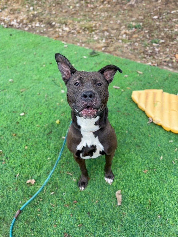 591697898 2408676116227882 1118534505610397794 n (1)