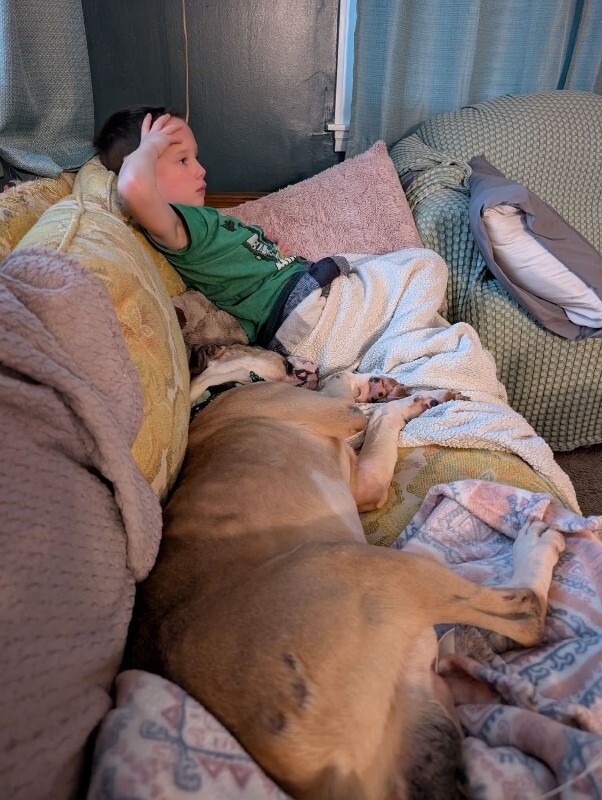 View Wilbur the Dog Photo #5