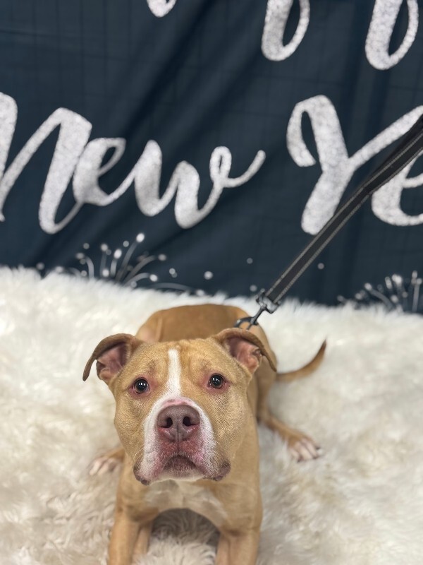 View Mac Miller the Dog Photo #6