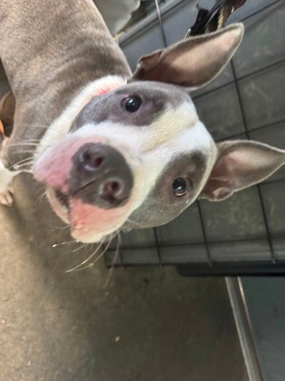 31db7c8f 09e1 4762 8ac3 1211636022da