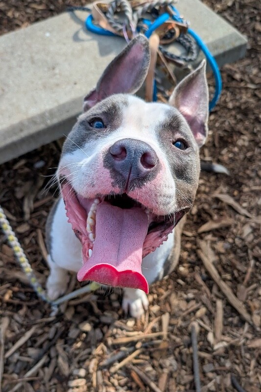 PXL 20260218 195904440.MP