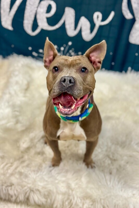 Learn More About Mama Bear IMG 6815